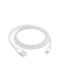 Apple Lightning To USB Cable 1M