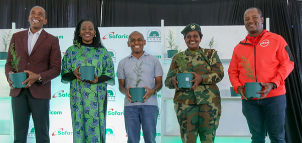 Pledge to Grow 5 Million Trees With the Kenya Forest Service 