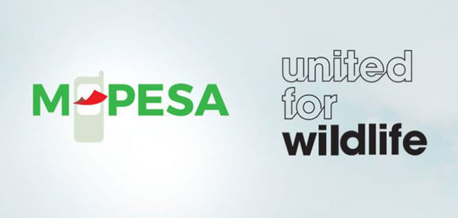 M-PESA is the first African Fintech platform to join united for wildlife financial taskforce