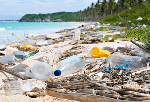 Turning the tide: Why we must beat plastic pollution